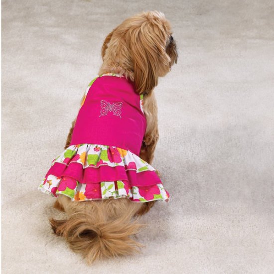 Sale East Side Collection Garden Floral Dog Sundresses X Small