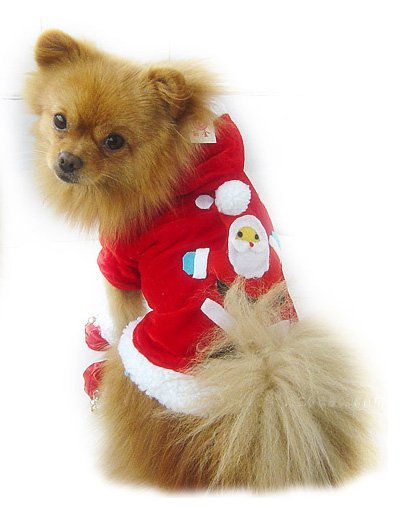 Sale Christmas Hoodie Sweater Dog Sweater Small