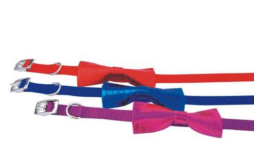 Bow Tie Collar Dog Collar Size 1