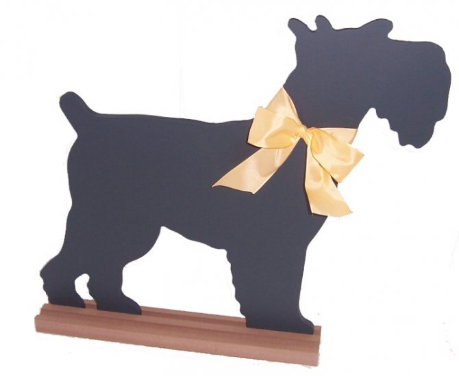 Schnauzer Country French Chalkboard