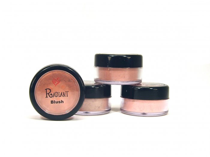 4 for $22.99 Blush Set