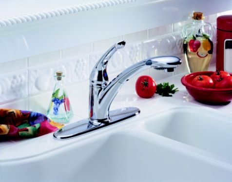 Signature Kitchen Pull-Down/Out Faucet
