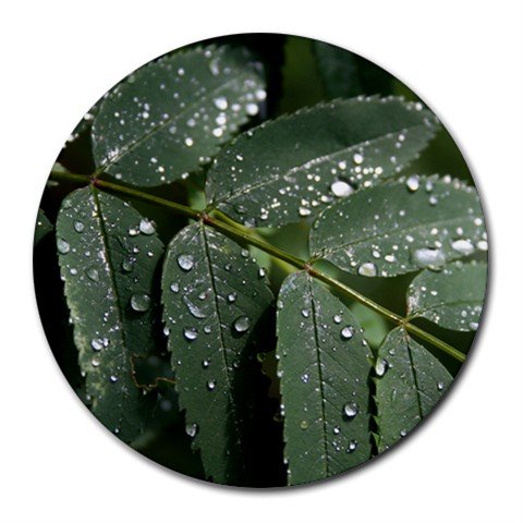 Mousepad FREE SHIPPING mountain ash leaf in the rain
