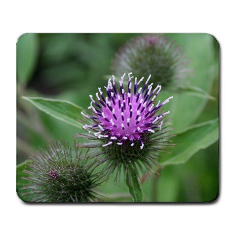 Mousepad Scottish Thistle Purple flower FREE SHIPPING