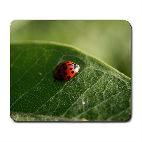 Mousepad ladybug on a leaf FREE SHIPPING