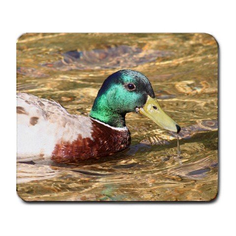 Mousepad Really nice duck, look up close, very clear water FREE SHIPPING