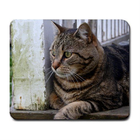 Mousepad The Guard Cat! FREE SHIPPING