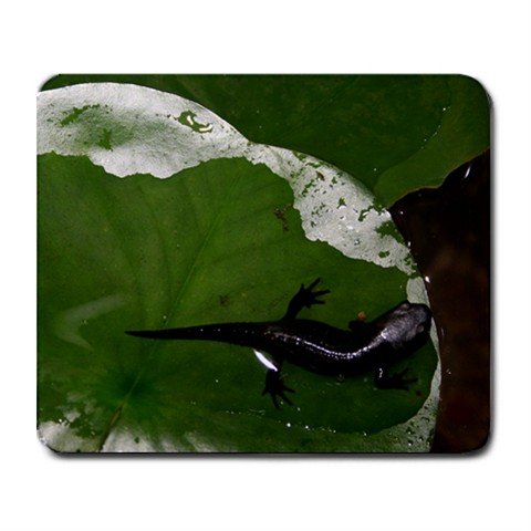 Mousepad FREE SHIPPING FireBelly Newt ! Lily Pad