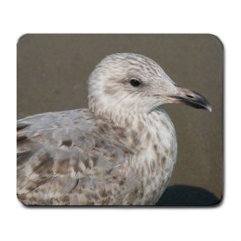 Mousepad FREE SHIPPING Seagull Ocean