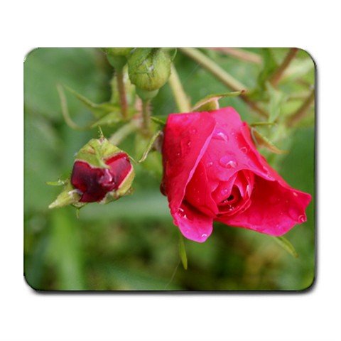 Mousepad FREE SHIPPING Bright pink rose and bud