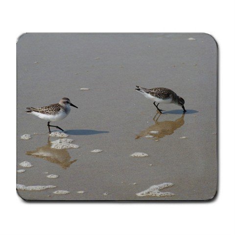 Mousepad FREE SHIPPING Sand piper Birds ocean sand