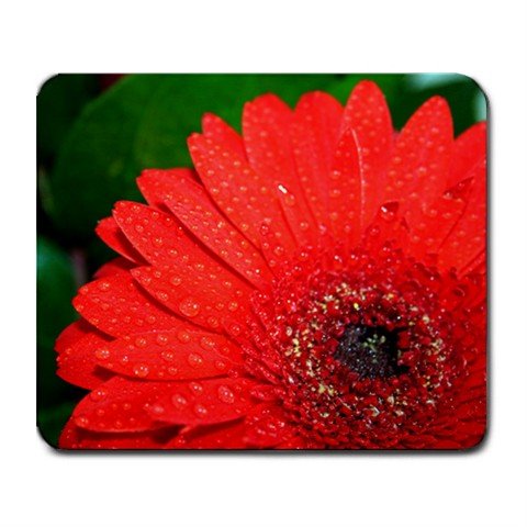 Mousepad FREE SHIPPING Bright red flower and dark green leaves