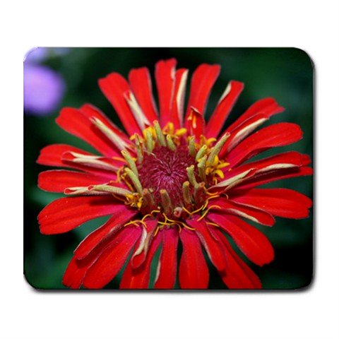 Mousepad FREE SHIPPING daisy like flower