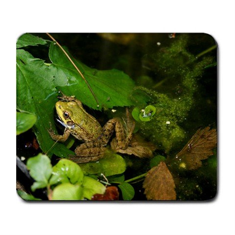 Mousepad FREE SHIPPING Cute little froggie in the pond :)