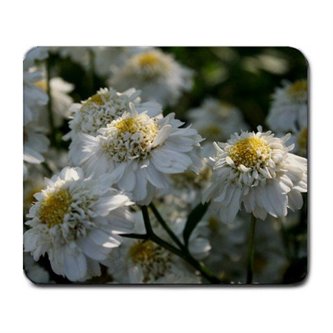 Mousepad FREE SHIPPING ruffly girly soft flowers