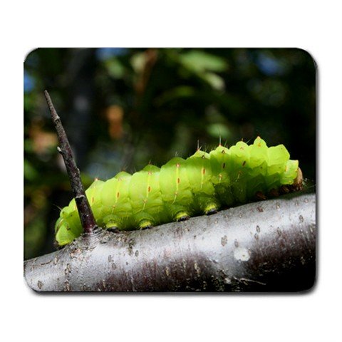 Mousepad FREE SHIPPING Worm-A-Pillar Luna Moth Caterpillar