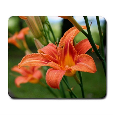 Mousepad FREE SHIPPING Tiger Lily Flowers