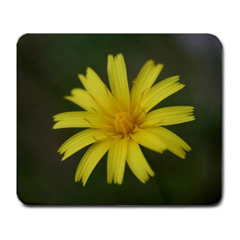 Mousepad FREE SHIPPING Little yellow paintbrush
