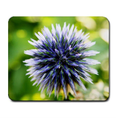 Mousepad FREE SHIPPING globe thistle flower