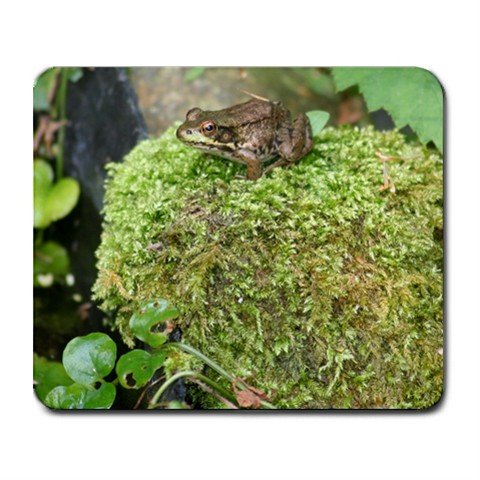 Mousepad FREE SHIPPING insanely cute frog sitting on a moss covered rock