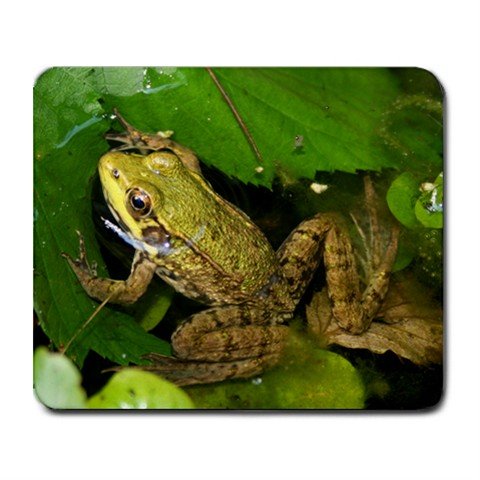 Mousepad FREE SHIPPING very nice frog in his pond