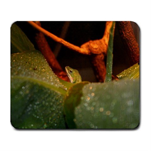 Mousepad FREE SHIPPING Zood the Anole by her banana leaf
