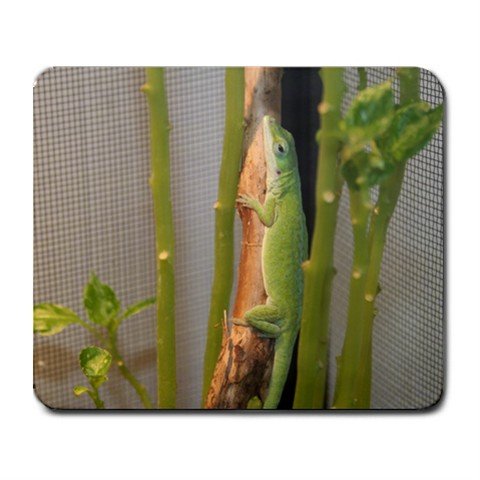 Mousepad FREE SHIPPING Zood the Anole