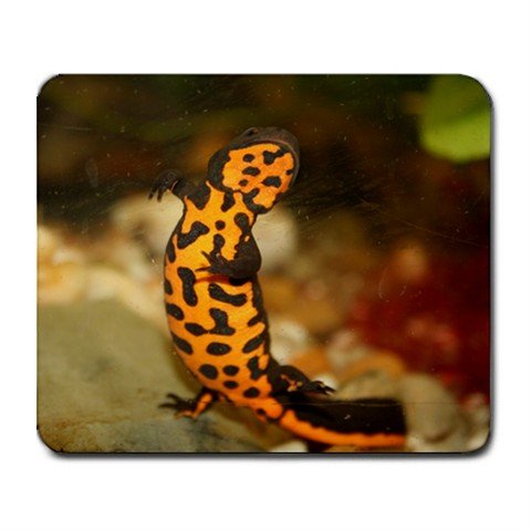 Mousepad FREE SHIPPING Hemi Newt Dancing