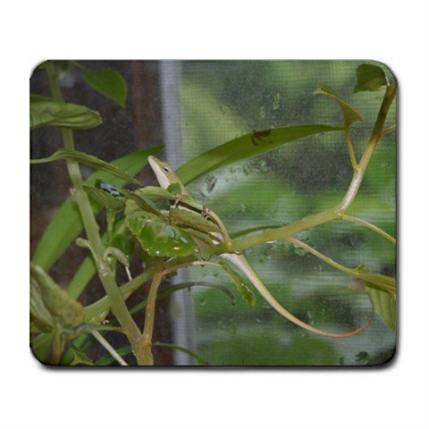 Mousepad FREE SHIPPING Young Anole Lizard on a plant