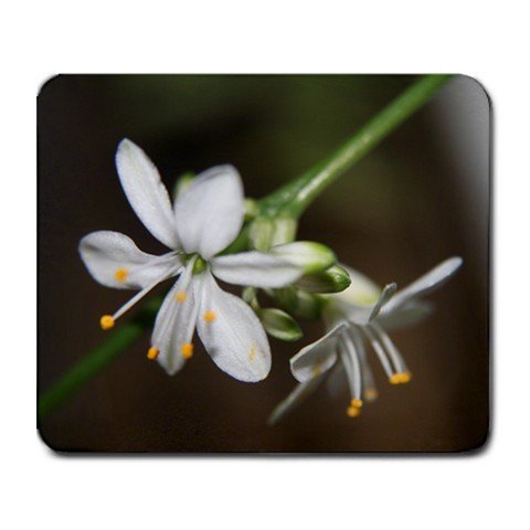 Mousepad FREE SHIPPING Tiny white spider plant flowers