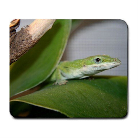Mousepad FREE SHIPPING Very cute Zood on her leaf