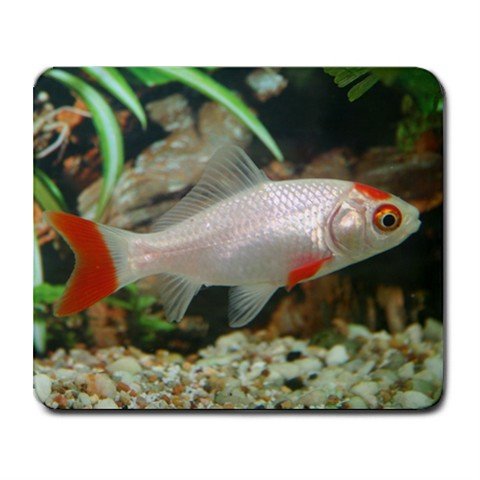 Mousepad FREE SHIPPING Nice fish goldfish aquarium gift for fish person