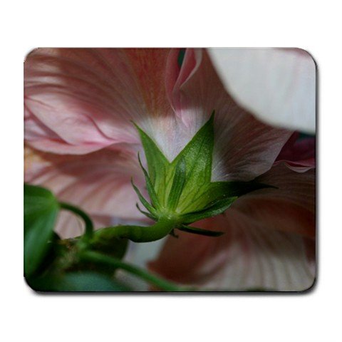 Mousepad FREE SHIPPING fairy view of a hibiscus flower
