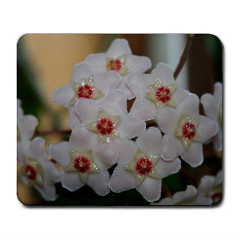 Mousepad FREE SHIPPING fuzzy neat HOYA flowers