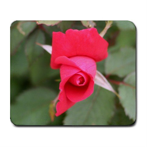 Mousepad FREE SHIPPING great rose bud
