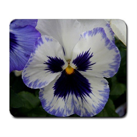 Mousepad FREE SHIPPING really nice pansy
