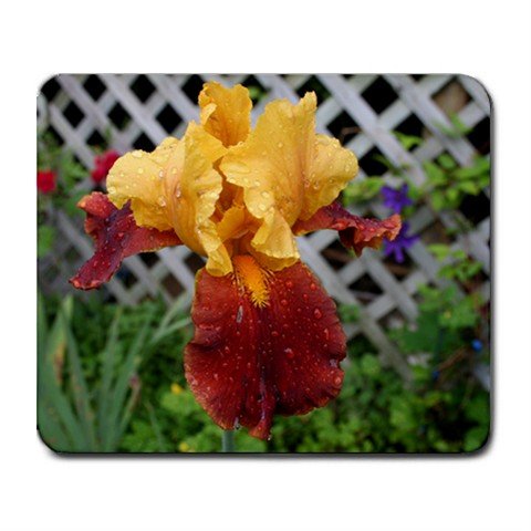 Mousepad FREE SHIPPING Red/Orange/Yellow Iris after rain