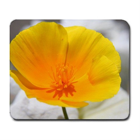 Mousepad FREE SHIPPING