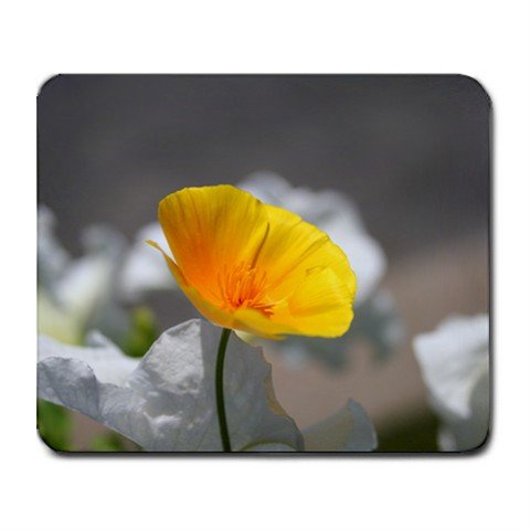 Mousepad FREE SHIPPING