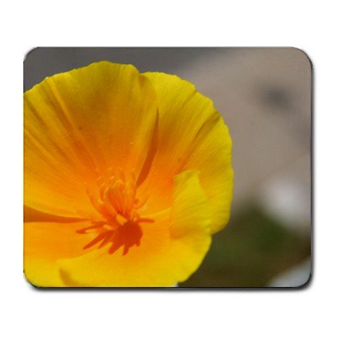 Mousepad FREE SHIPPING