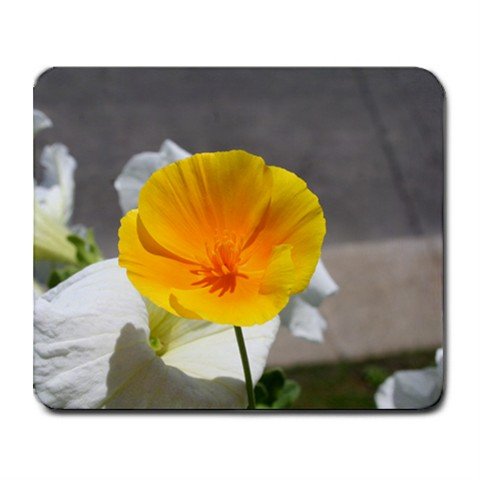 Mousepad FREE SHIPPING