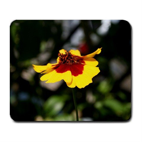 Mousepad FREE SHIPPING