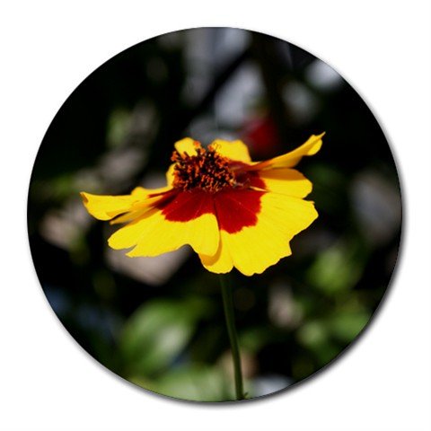 Mousepad / Placemat FREE SHIPPING