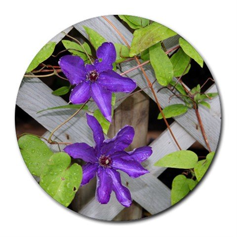 Mousepad / Placemat FREE SHIPPING