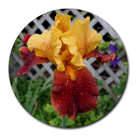 Mousepad / Placemat FREE SHIPPING