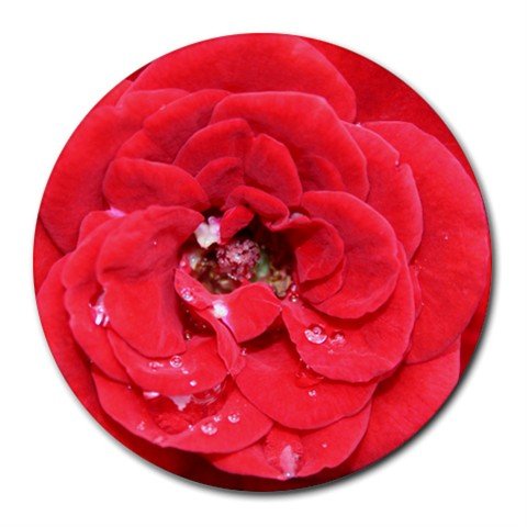Mousepad / Placemat FREE SHIPPING