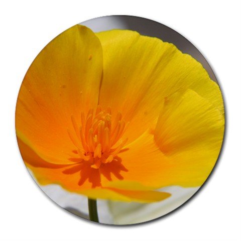 Mousepad / Placemat FREE SHIPPING