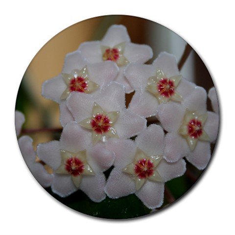 Mousepad / Placemat FREE SHIPPING