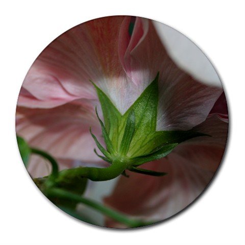 Mousepad / Placemat FREE SHIPPING