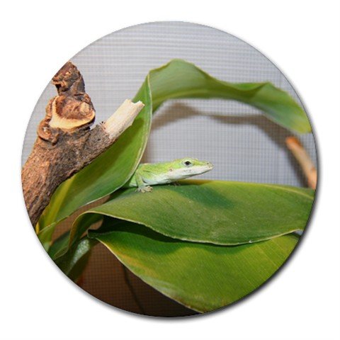 Mousepad / Placemat FREE SHIPPING